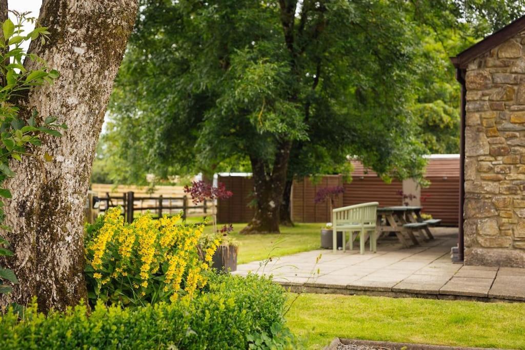 Barn Cottage - Family-Friendly Cottage With Heated Indoor Pool Haverfordwest Eksteriør bilde